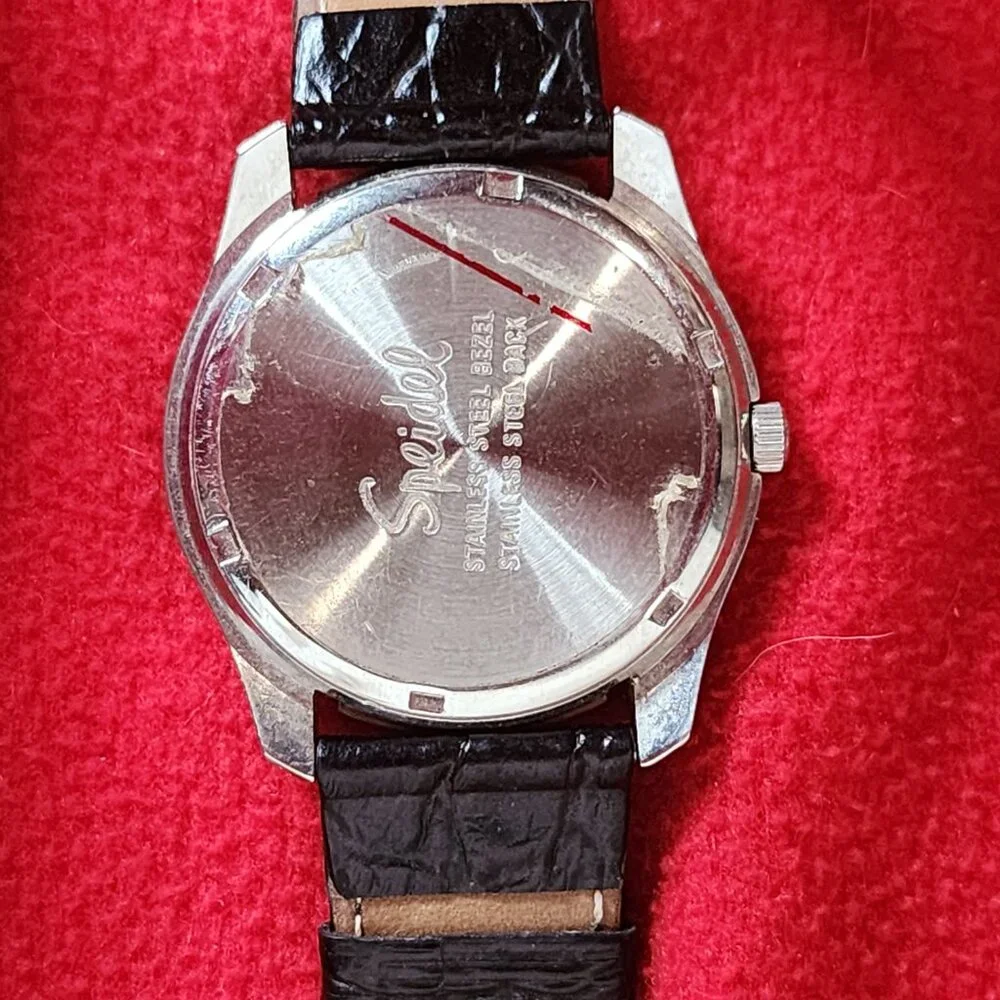 Signet Vntg Stainless Steel Lume Dial Date 30 Meters Quartz Speidel Backed Watch